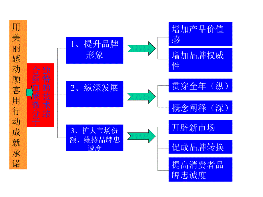 珀颜活动操作方案_第4页