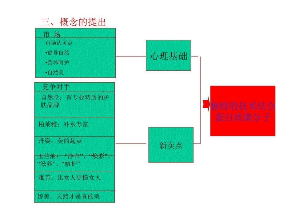 珀颜活动操作方案_第5页