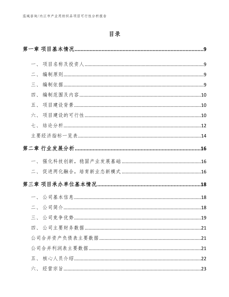 内江市产业用纺织品项目可行性分析报告模板参考_第2页