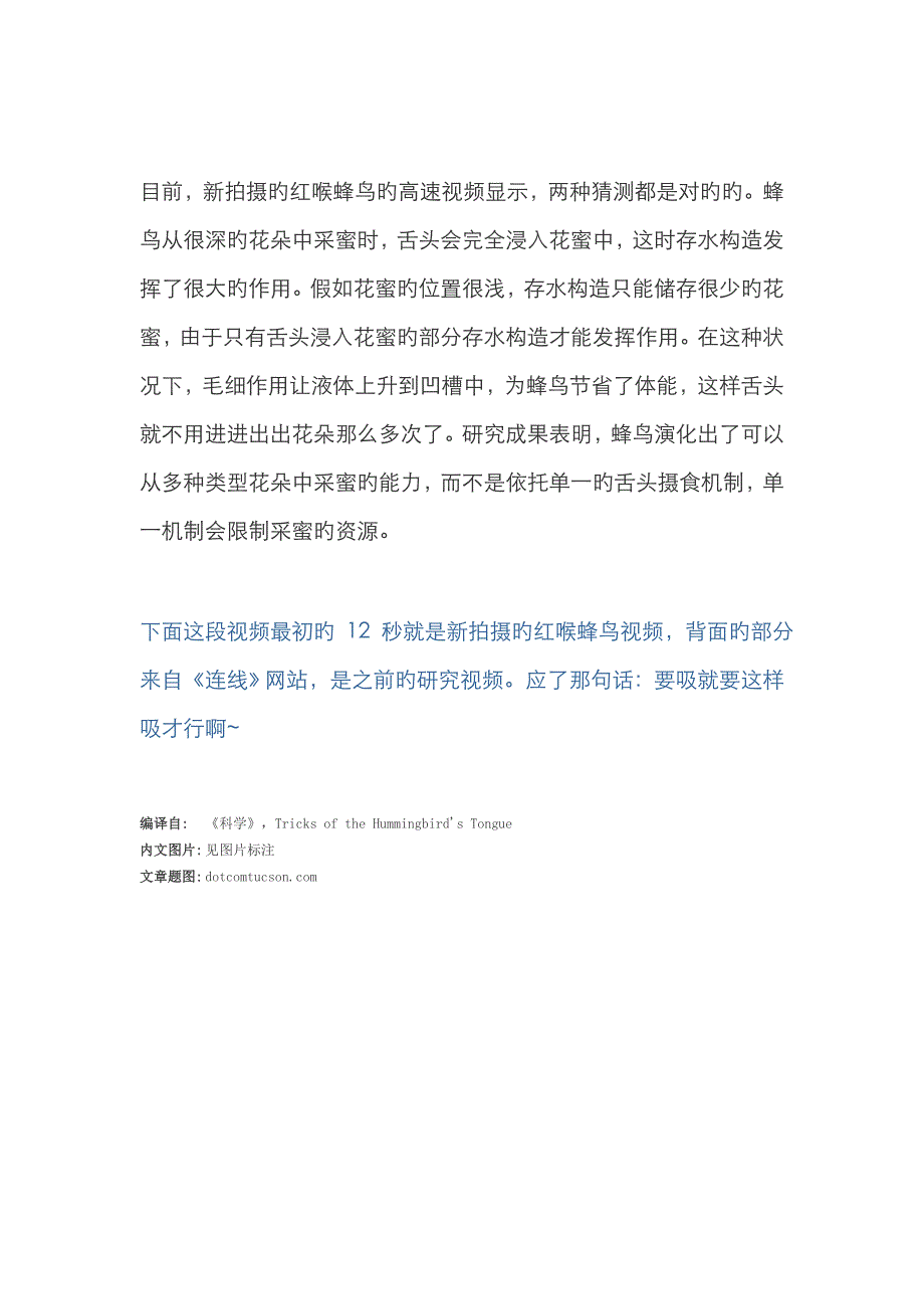 蜂鸟要吸就要这样吸_第4页