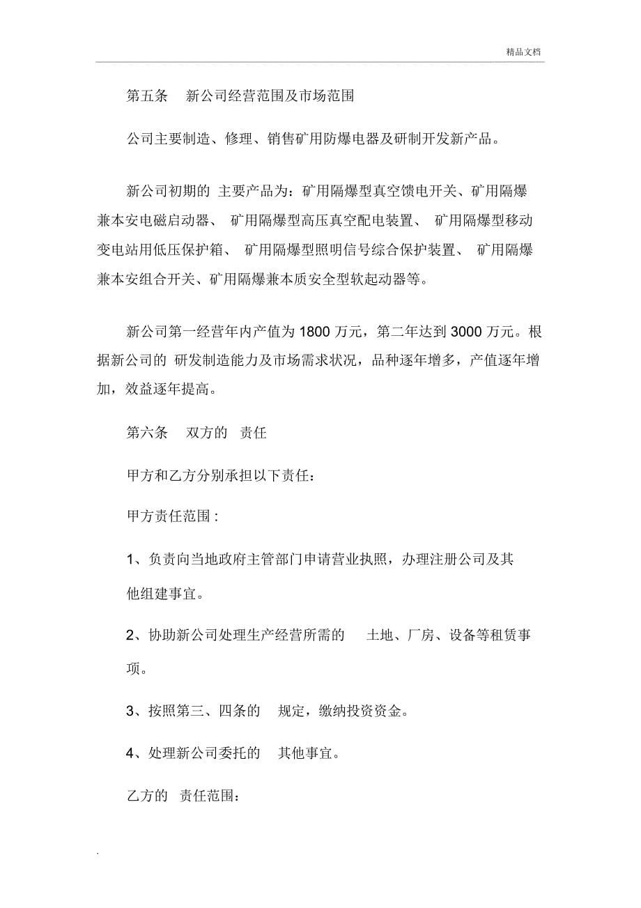 共同出资成立新公司方案_第5页