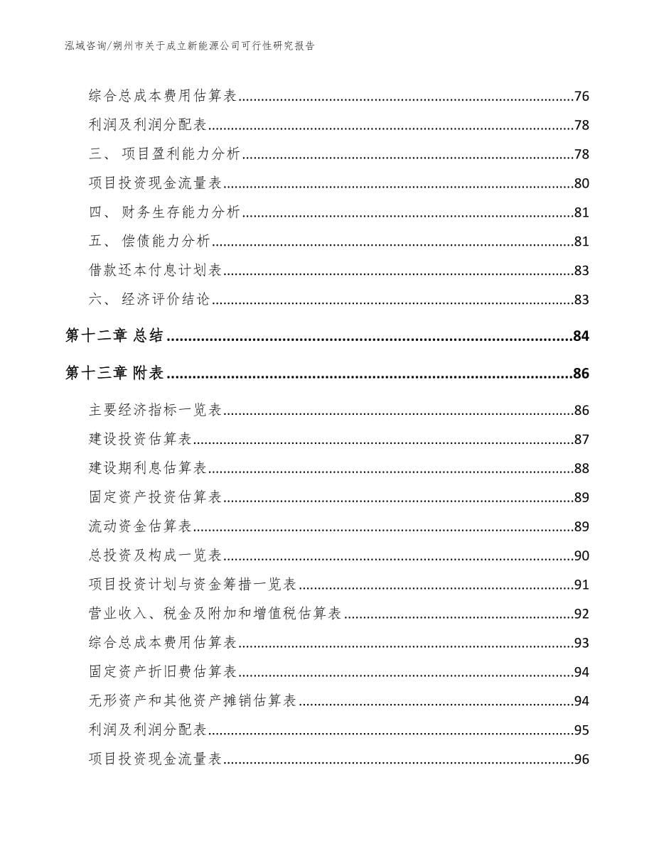 朔州市关于成立新能源公司可行性研究报告【模板范文】_第5页