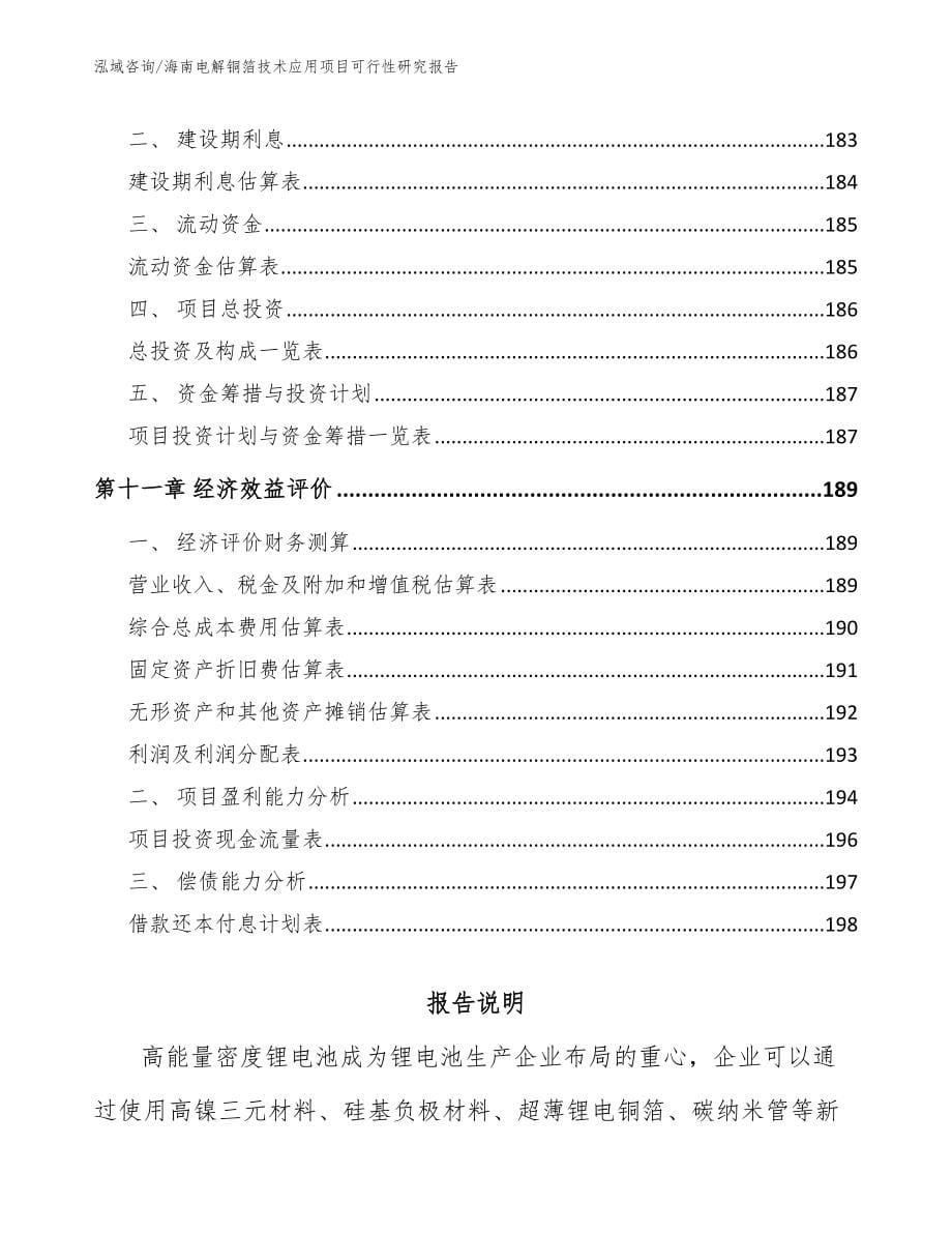 海南电解铜箔技术应用项目可行性研究报告_第5页