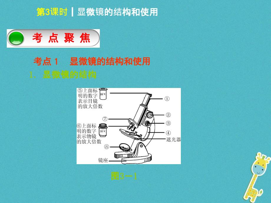 生物 第二单元 生物体的结构层次 第3课时 显微镜的结构和使用_第2页