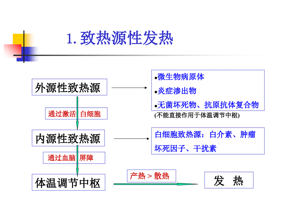 发热教学课件_第4页