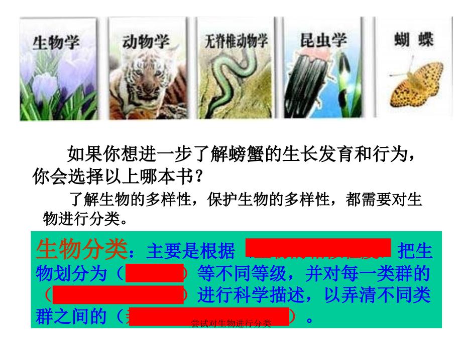 尝试对生物进行分类_第3页