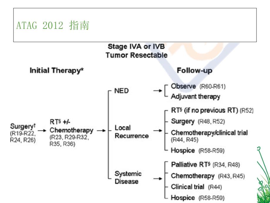 甲状腺未分化癌诊疗指南总结与靶向治疗研究放疗科课件_第3页