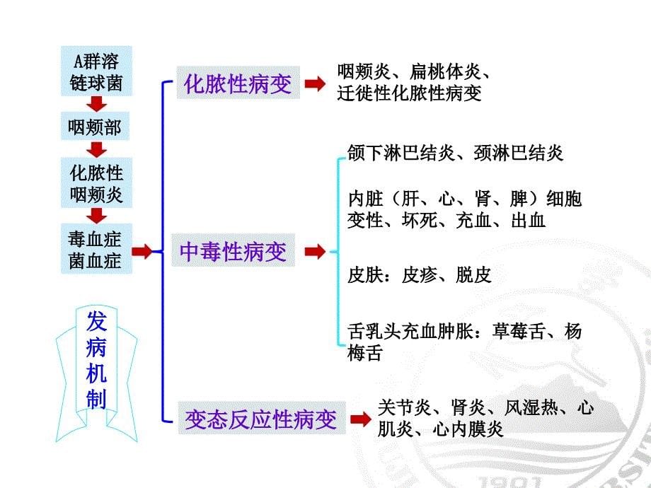 猩红热病人的护理PPT课件_第5页