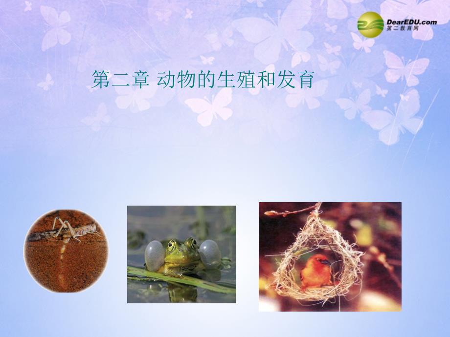 八年级生物上册动物的生殖和发育复习课件济南版课件_第1页