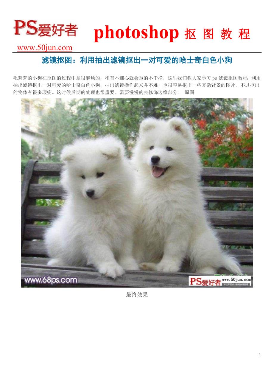 滤镜抠图：利用抽出滤镜抠出一对可爱的哈士奇白色小狗_第1页