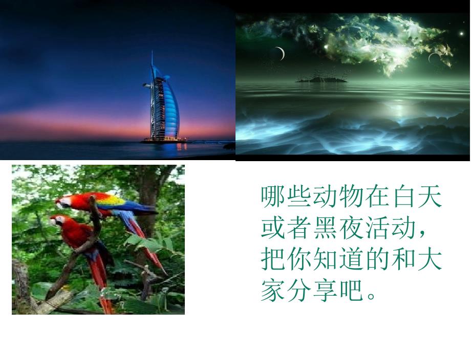 《昼夜与生物行为》课件.ppt_第4页