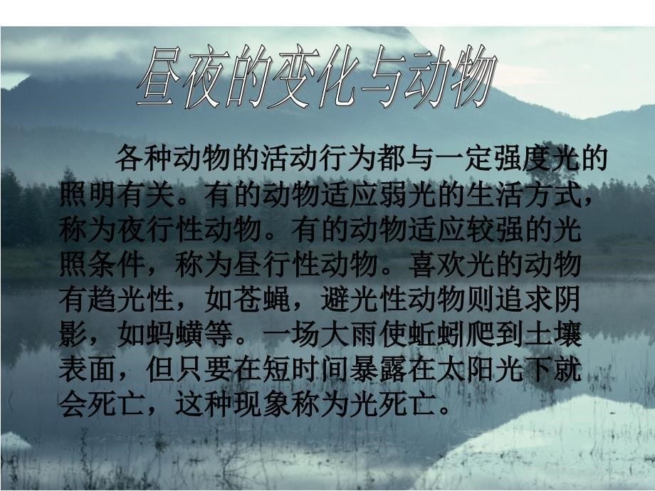 《昼夜与生物行为》课件.ppt_第5页