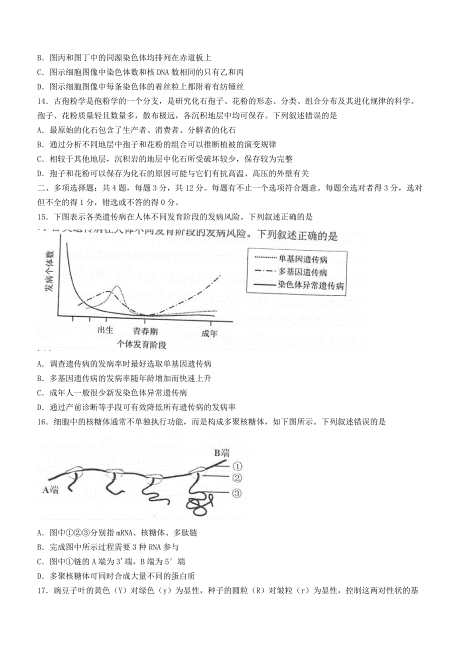 江苏省苏州市2020-2021学年高一生物下学期期末学业质量阳光指标调研卷【含答案】_第4页