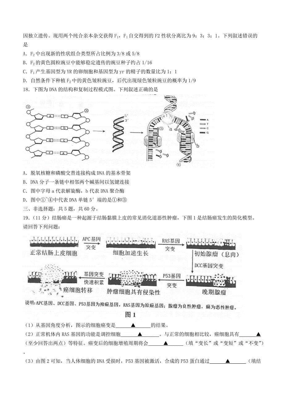 江苏省苏州市2020-2021学年高一生物下学期期末学业质量阳光指标调研卷【含答案】_第5页