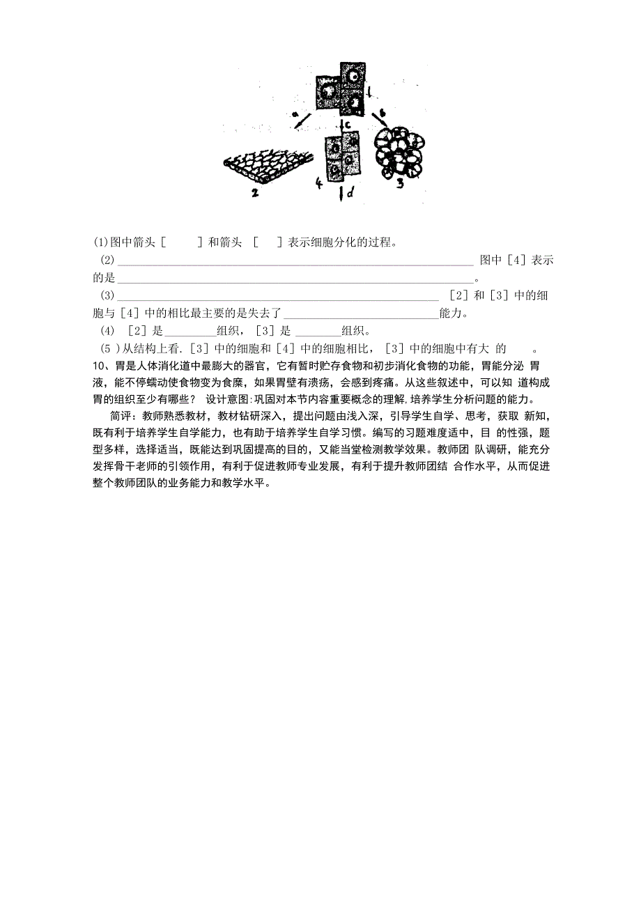 动物的结构层次_第4页