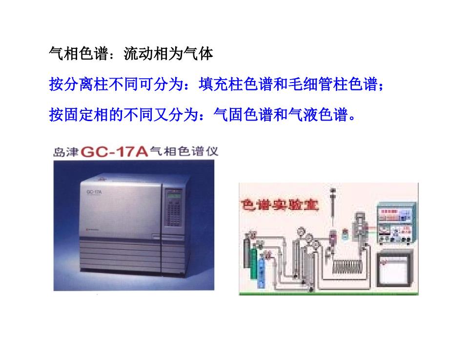 最新大学化学专业仪器分析实验色谱实验ppt课件_第2页