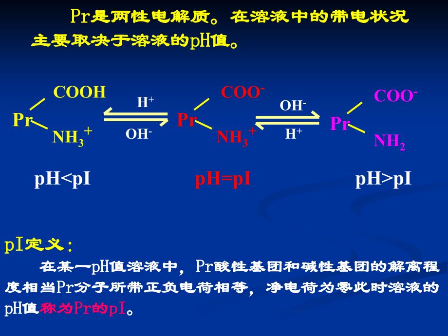 蛋白质结构与功能3ppt_第3页