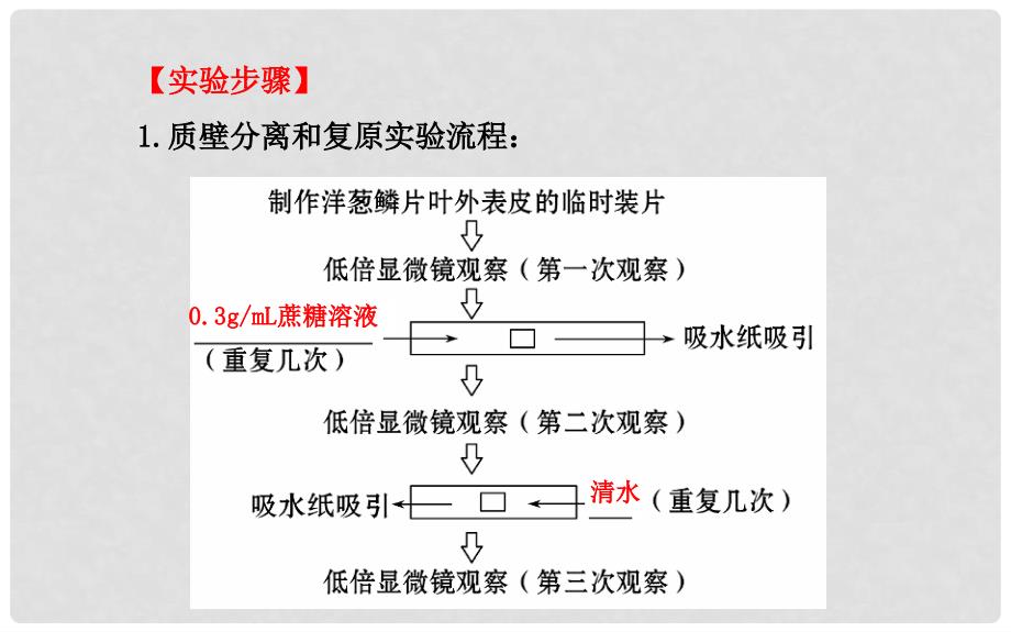 高考生物 大一轮配套实验精讲系列 植物细胞的吸水和失水课件_第4页