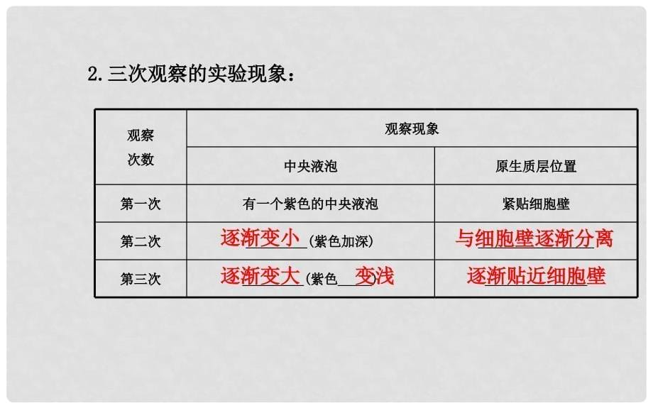 高考生物 大一轮配套实验精讲系列 植物细胞的吸水和失水课件_第5页