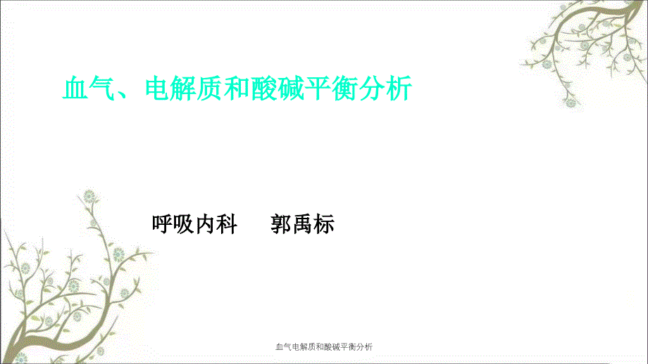 血气电解质和酸碱平衡分析_第1页