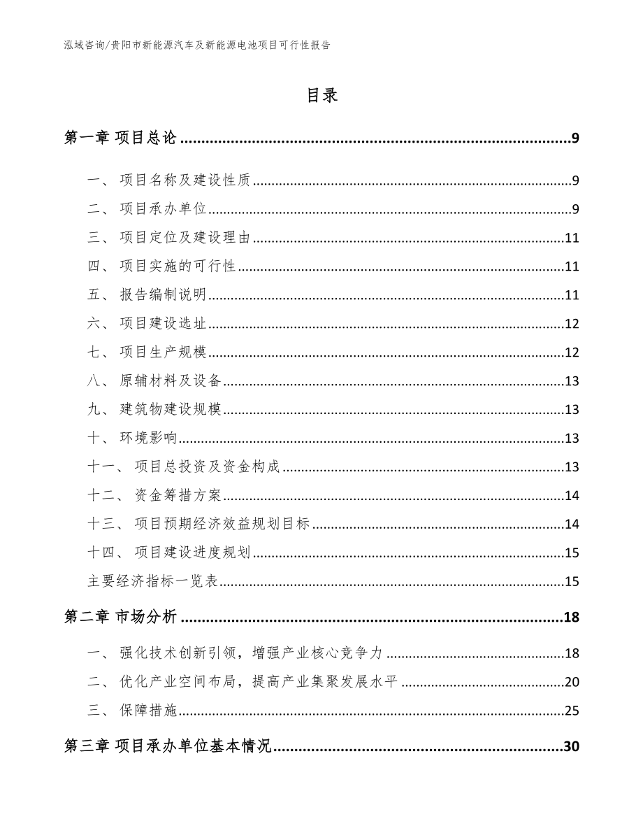 贵阳市新能源汽车及新能源电池项目可行性报告_第2页