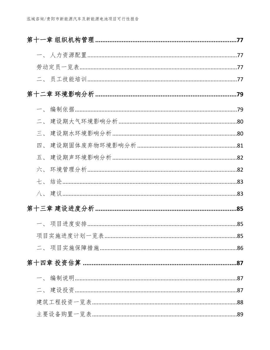 贵阳市新能源汽车及新能源电池项目可行性报告_第5页