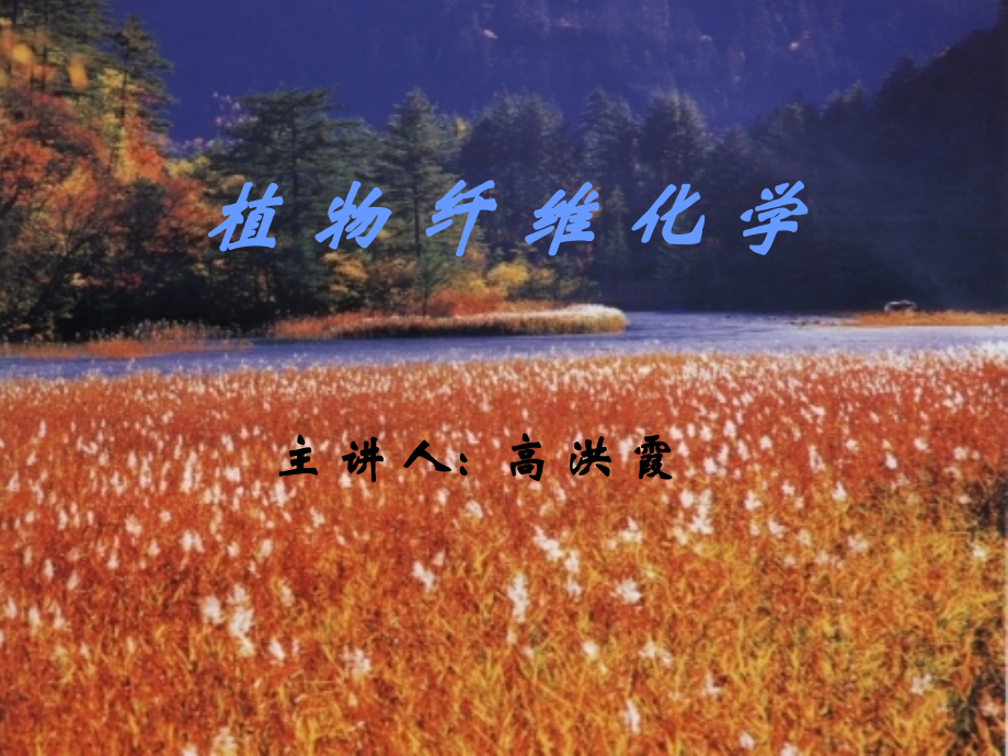 二章木素_第1页