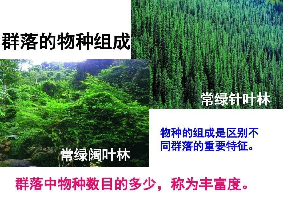 第三节群落的结构_第5页