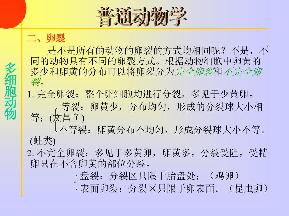 《多细胞动物起源》PPT课件.ppt_第3页