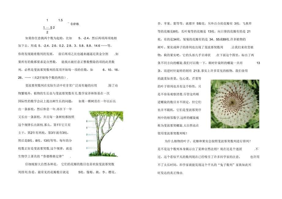 推理2.4兔子数列家族兴旺又添新成员_第5页