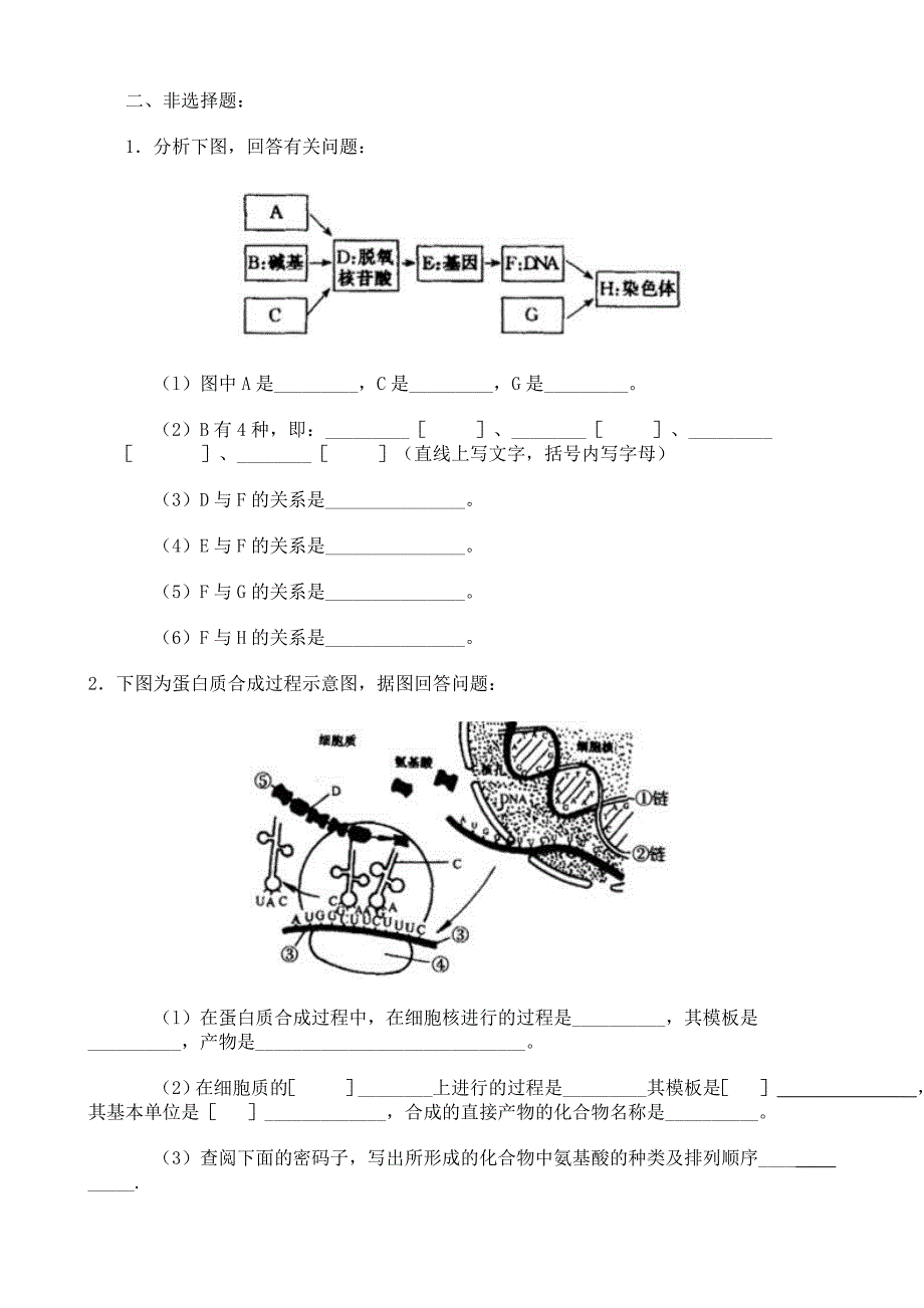 基因的表达练习题_第4页