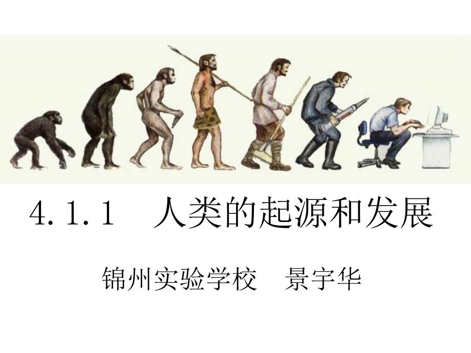 对比观察四种现代类人猿和人类起源与发展的示意图课件_第1页