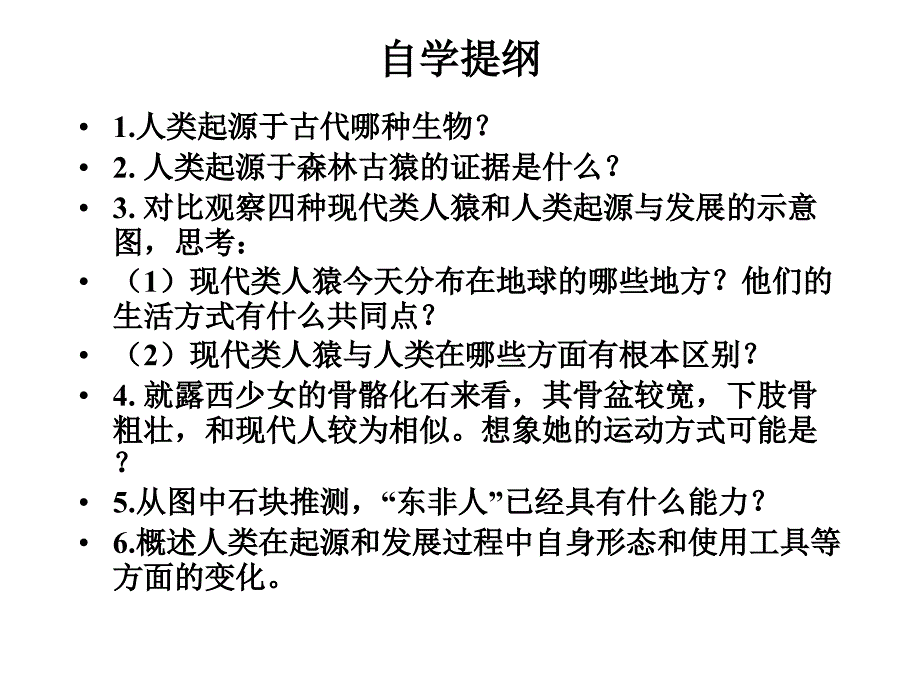 对比观察四种现代类人猿和人类起源与发展的示意图课件_第3页