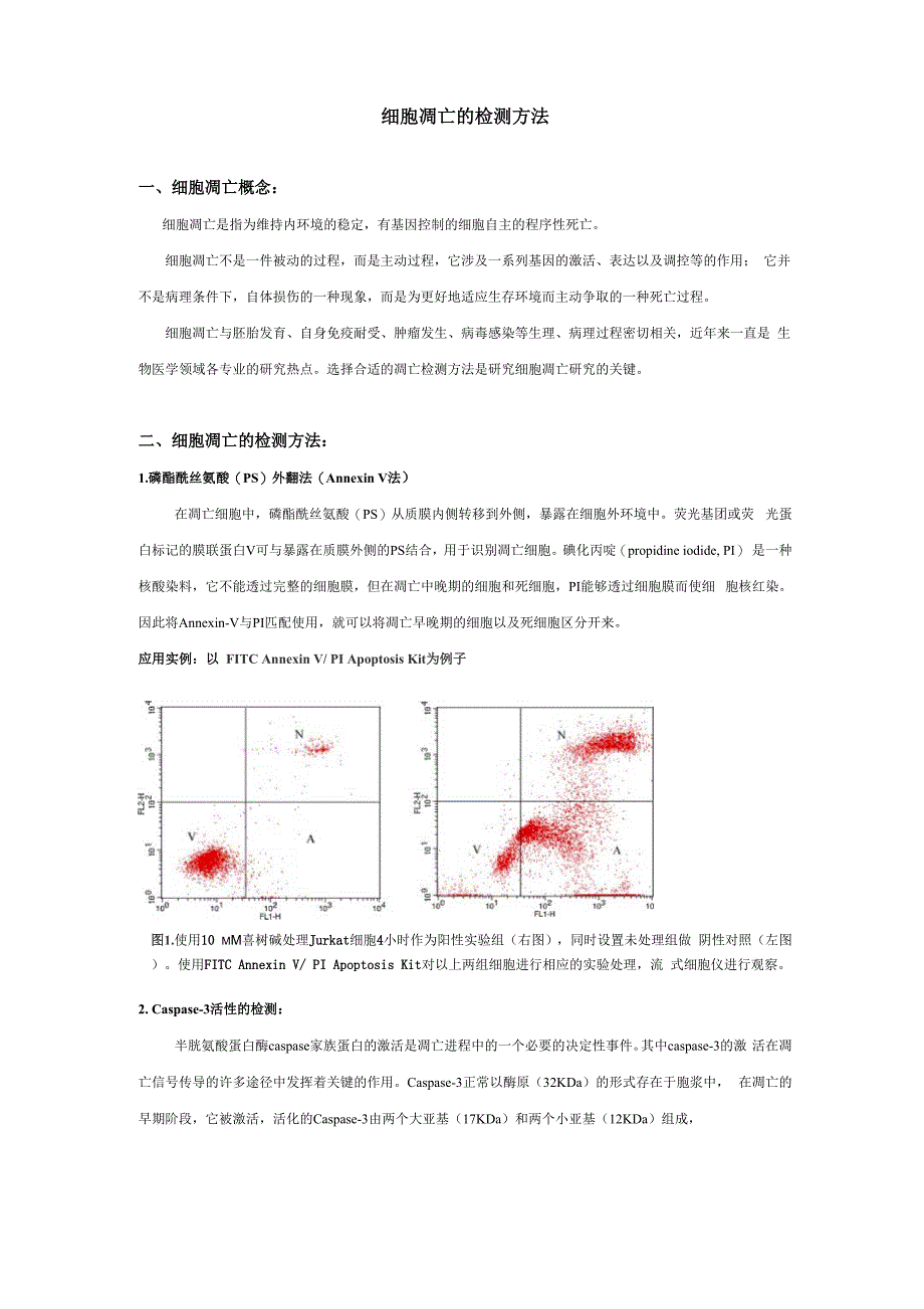 细胞凋亡检测方法_第1页