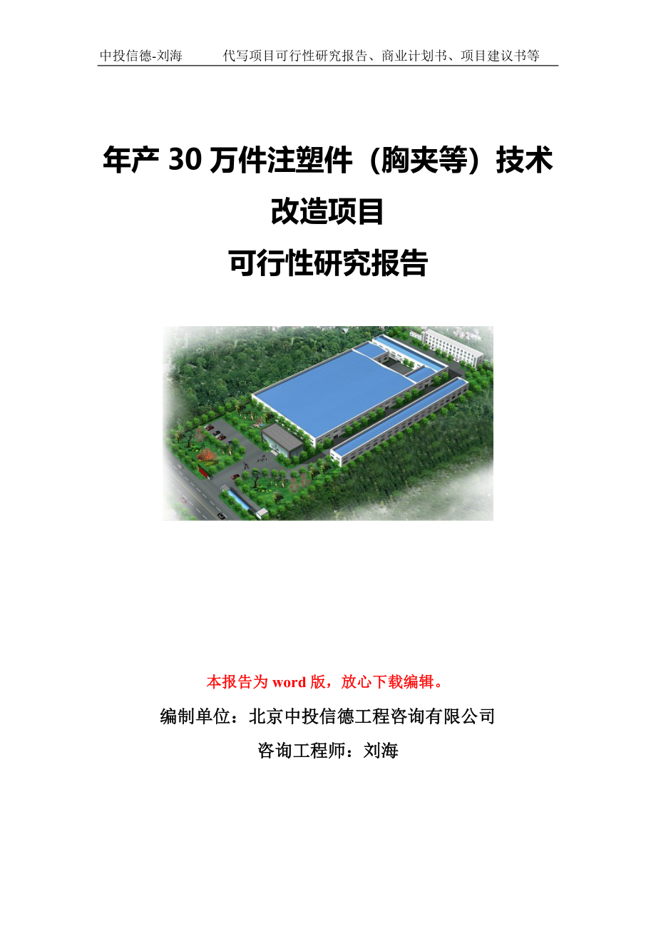 年产30万件注塑件（胸夹等）技术改造项目可行性研究报告写作模板-代写定制