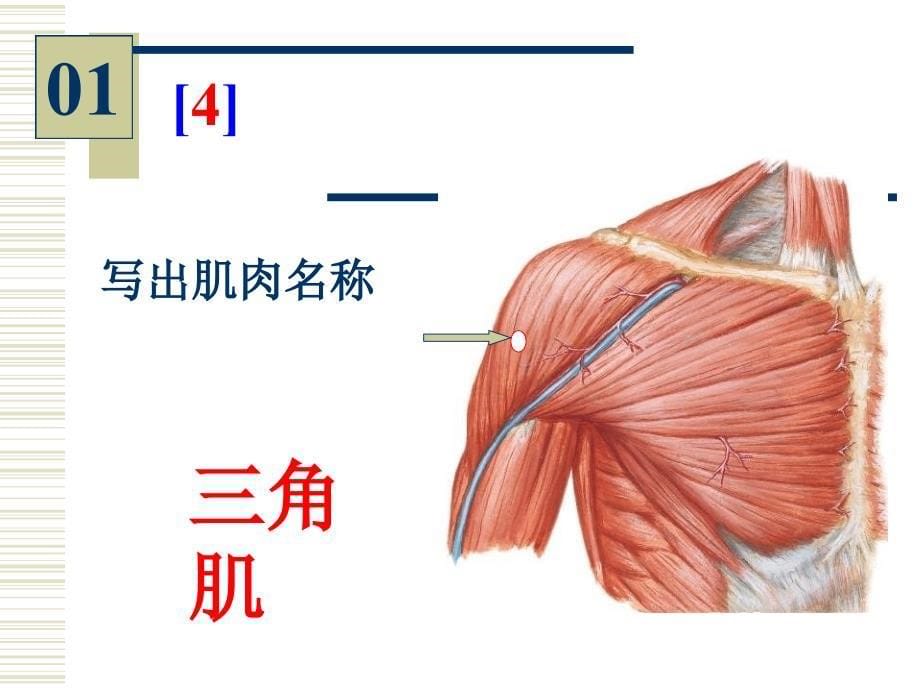 《系解实验考试》课件_第5页