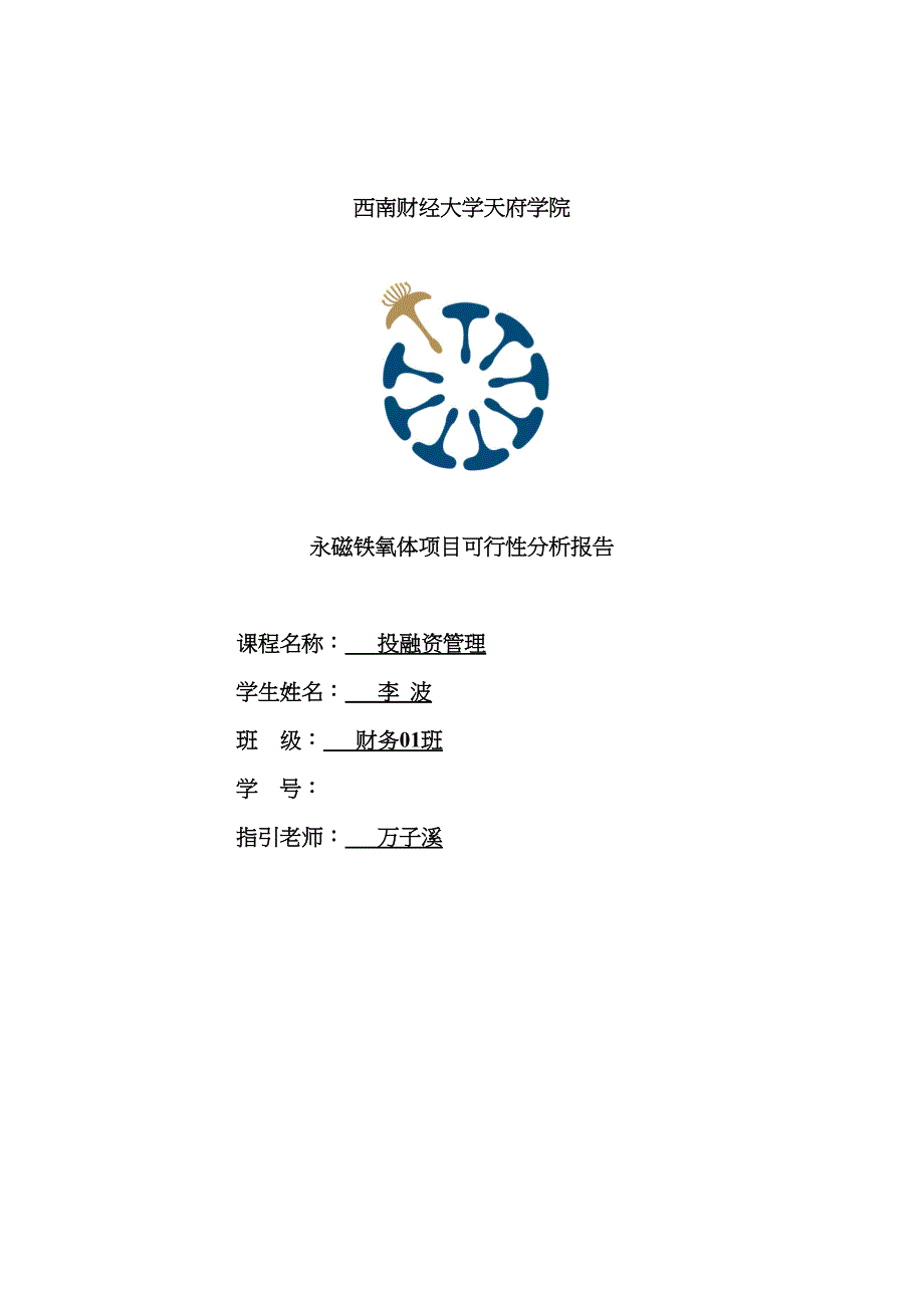 永磁铁氧体专项项目可行性分析报告_第1页