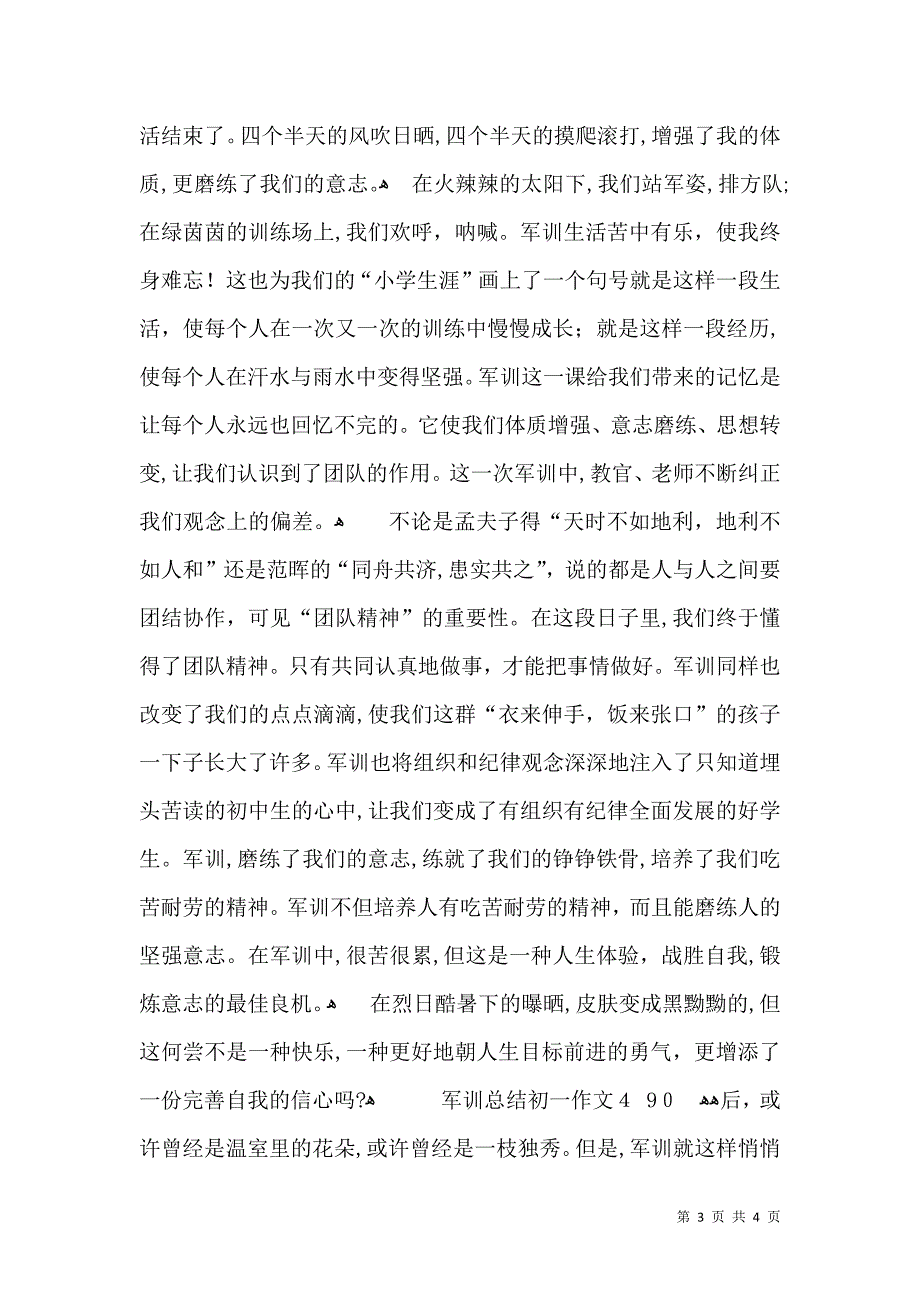 军训总结初一作文_第3页