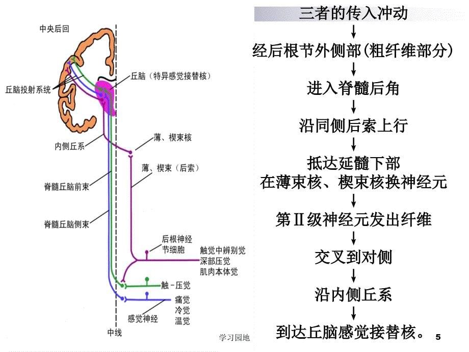 第二节感觉分析知识发现_第5页