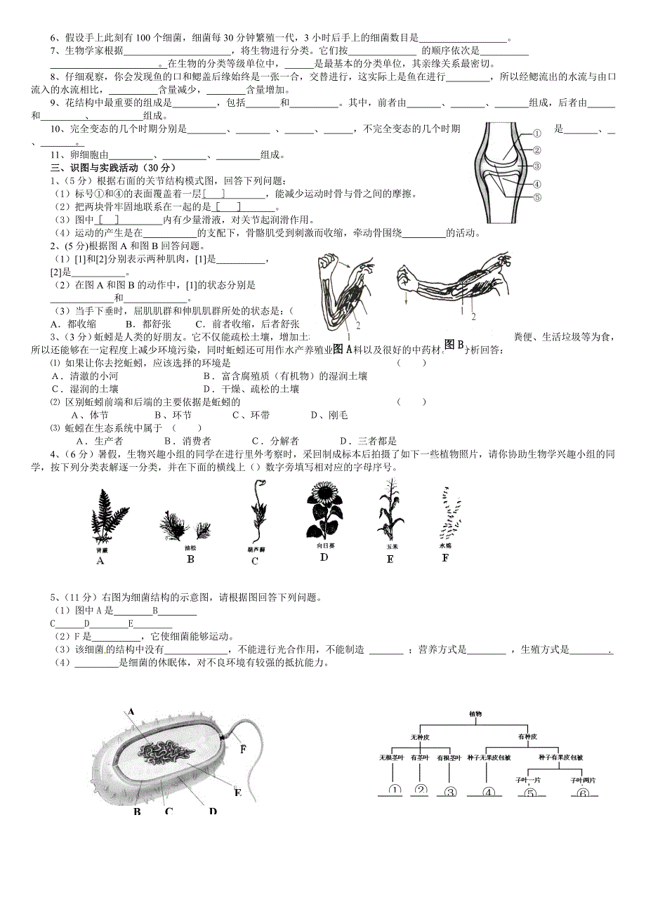 人教版八年级上册生物期末考试卷带答案_第2页