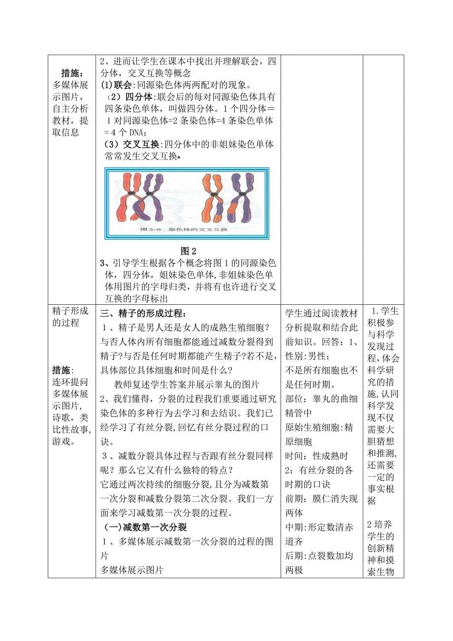 高中生物减数分裂的教学设计_第5页