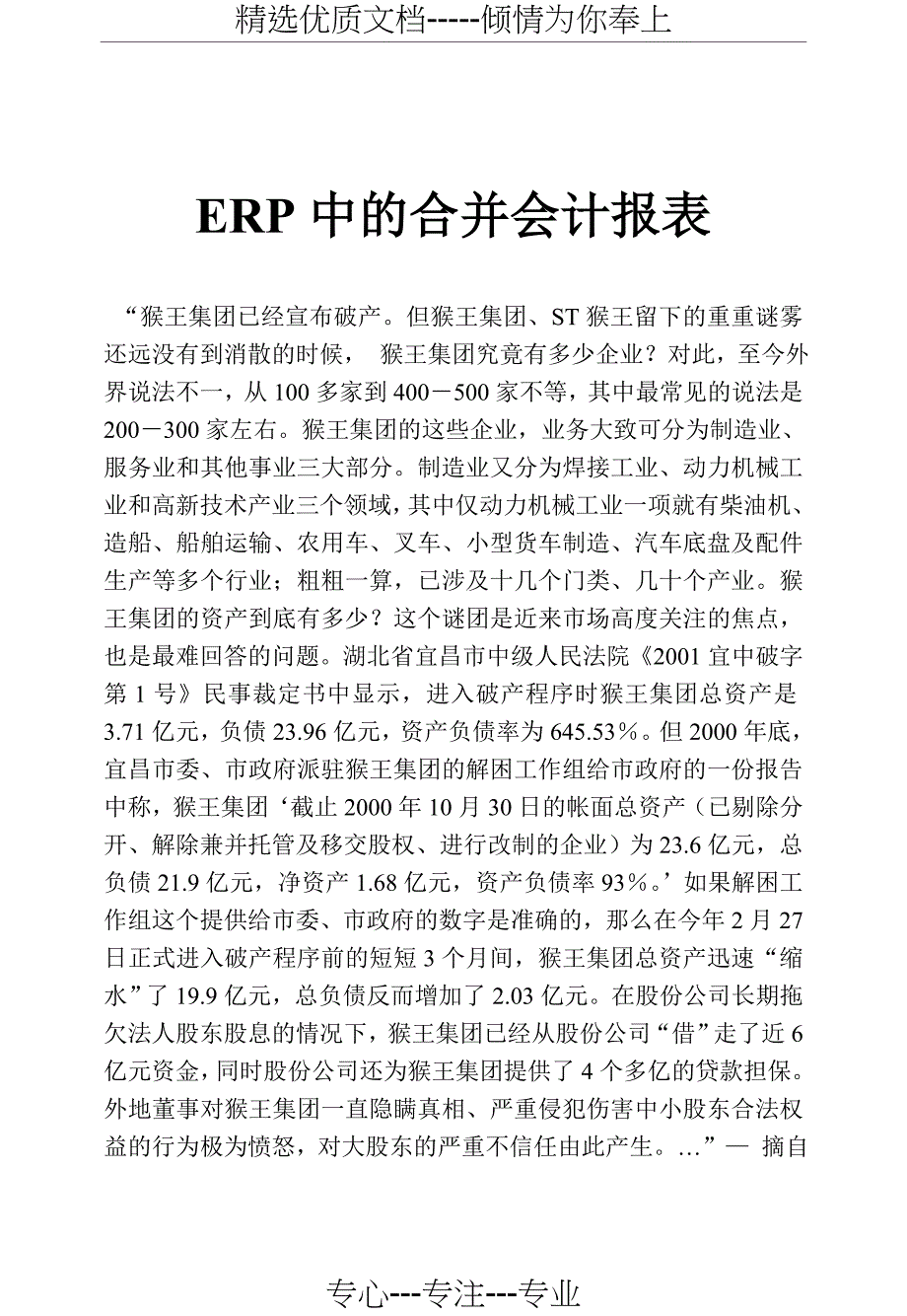 ERP中的合并会计报表_第1页