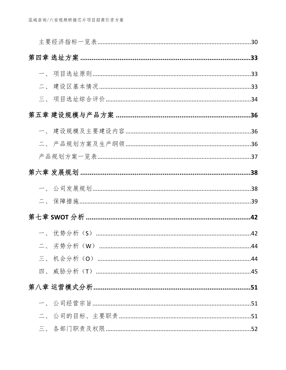 六安视频桥接芯片项目招商引资方案模板参考_第2页