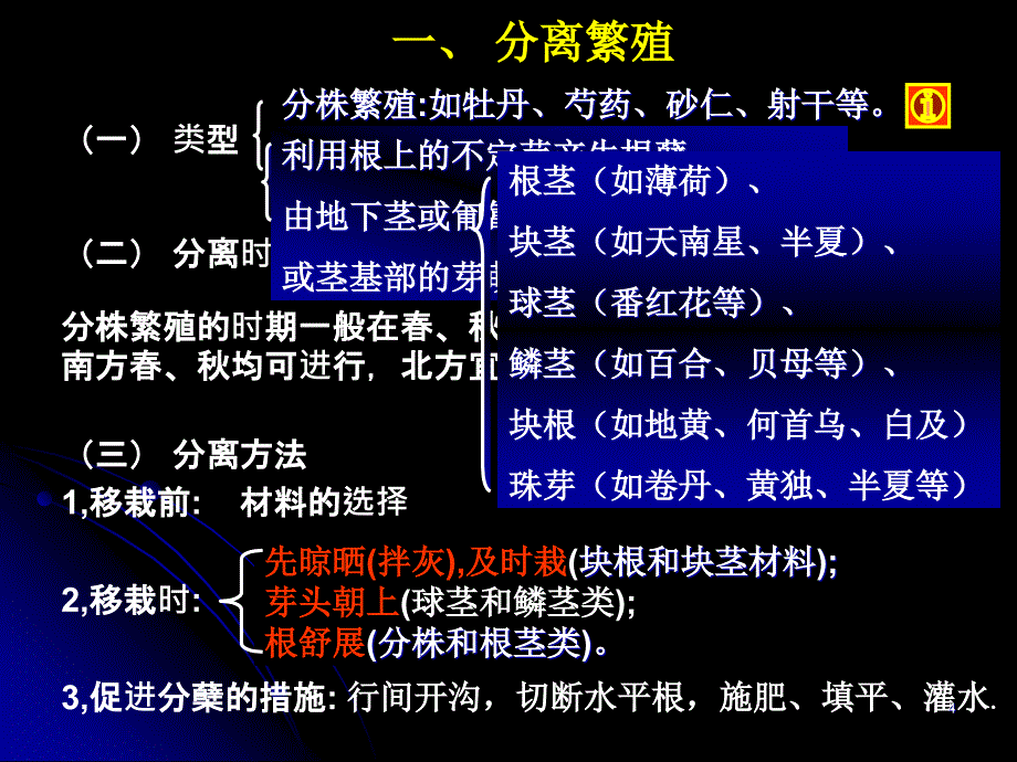 药用植物营养繁殖和种子繁殖及良种繁育ppt课件_第4页