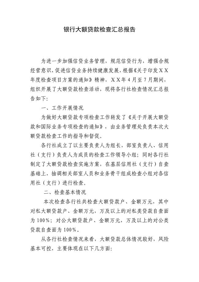 银行大额贷款检查汇总报告