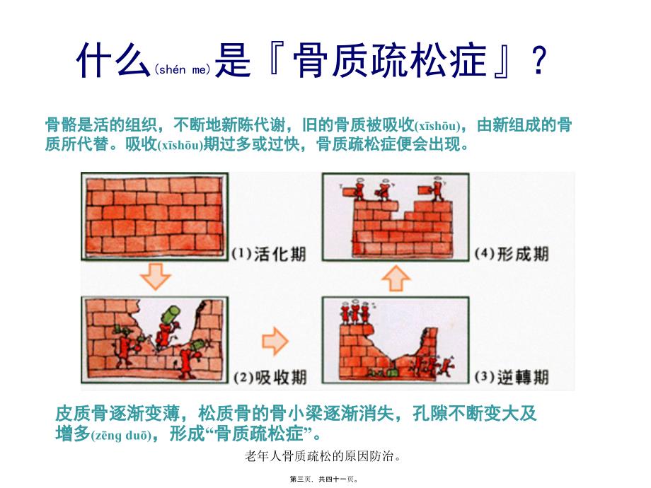 老年人骨质疏松的原因防治课件_第3页