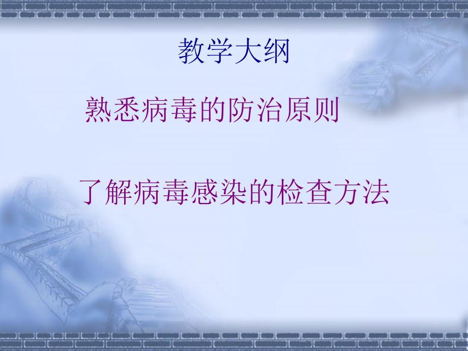 《医学微生物学》教学课件：第十六章 病毒感染的检查方法及防治原则_第2页