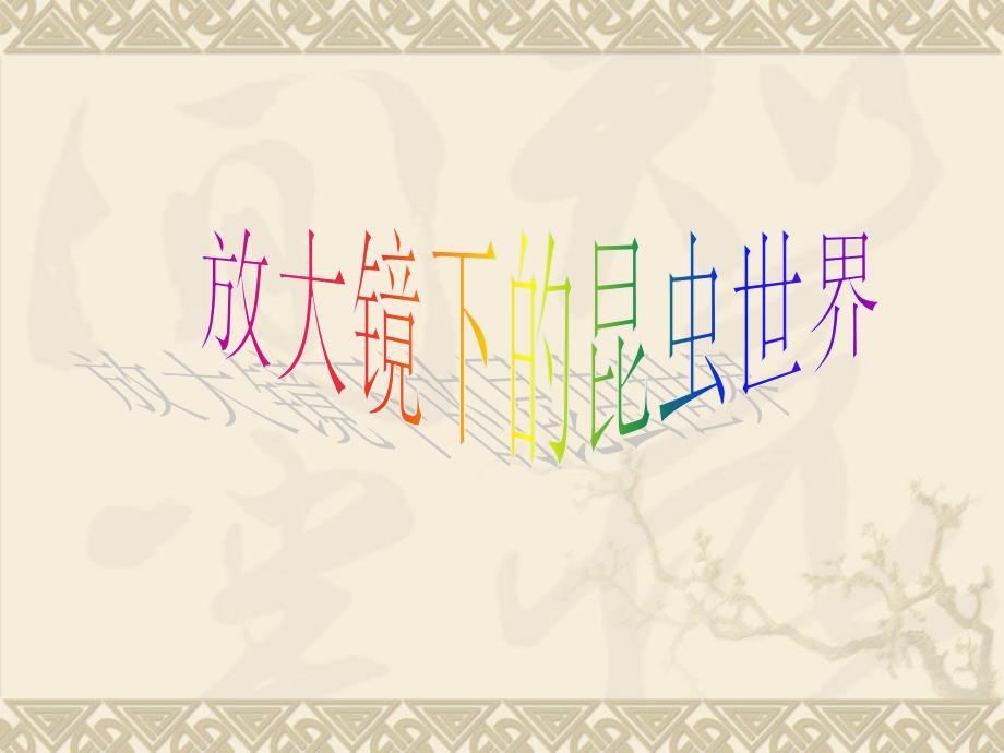 教科版科学六下放大镜下的昆虫世界课件之一_第1页