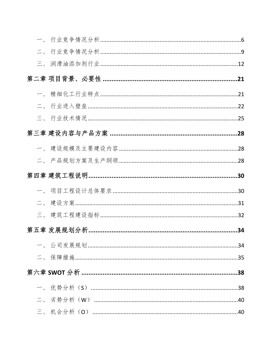 厦门油品添加剂项目可行性研究报告_第2页