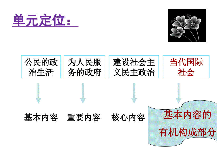 政治生活第四单元教材分析_第4页